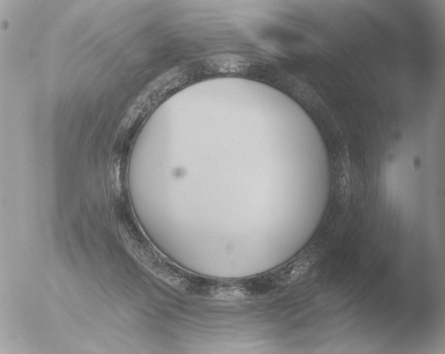 X0000051920262200507152104