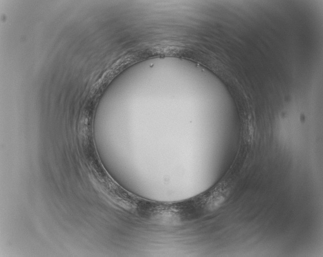 X0000051920263200507152104