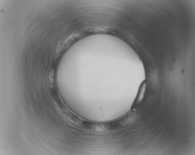 X0000051920264200507152104