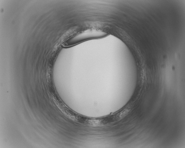 X0000051920265200507152104