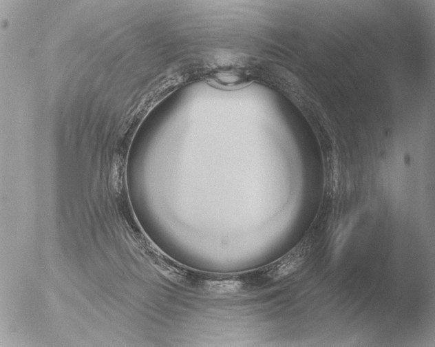 X0000051920266200507152104