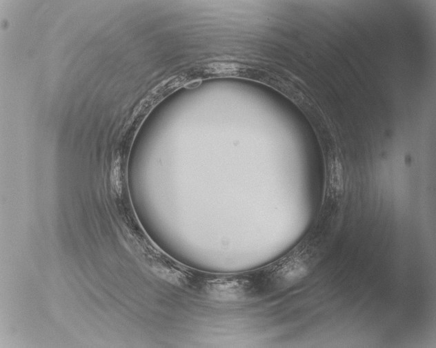 X0000051920267200507152104