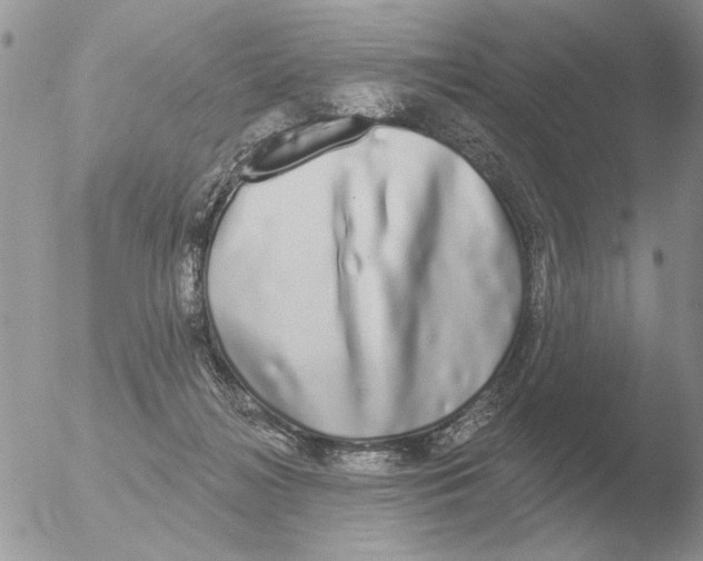 X0000051920268200507152104