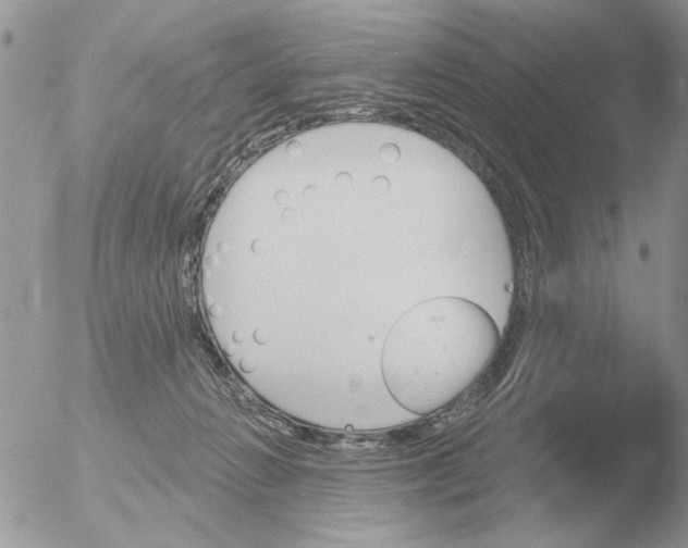 X0000051920270200507152104