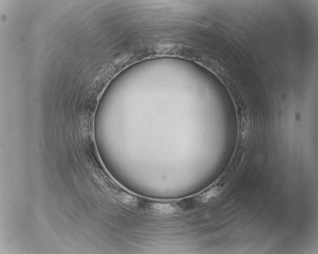 X0000051920272200507152104