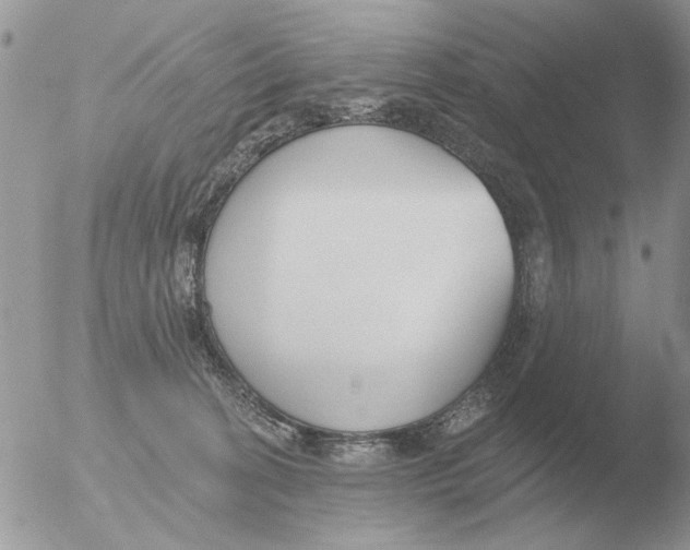 X0000051920274200507152105