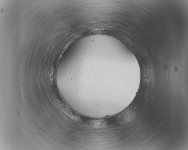 X0000051920275200507152105