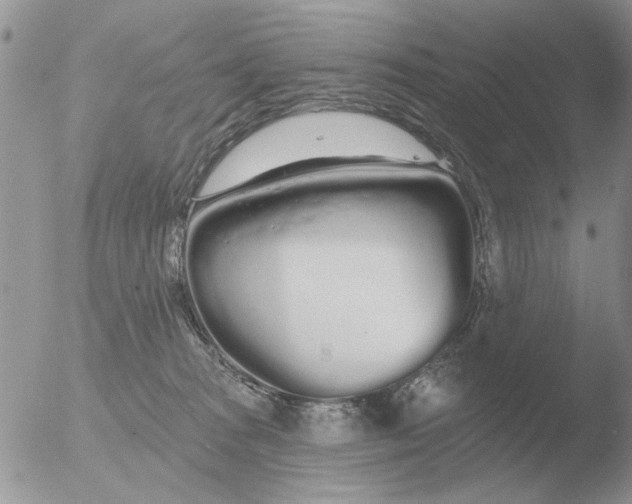 X0000051920277200507152105