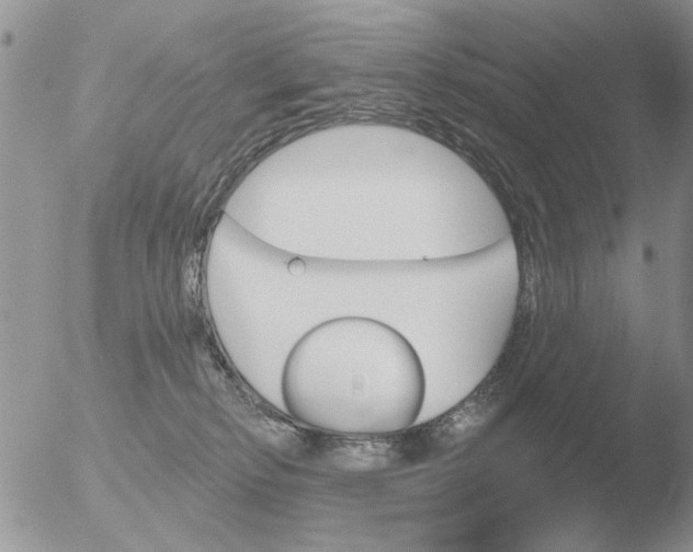 X0000051920278200507152105