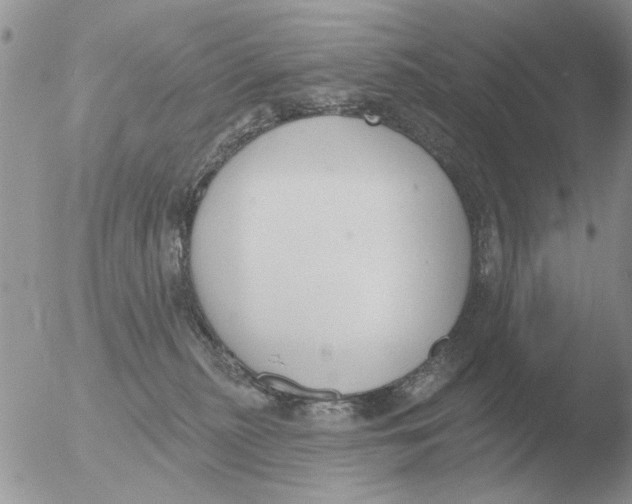 X0000051920279200507152105