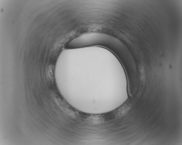 X0000051920280200507152105