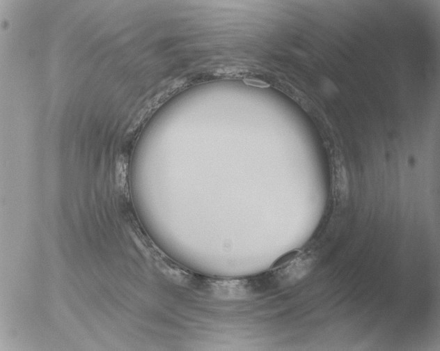 X0000051920281200507152105