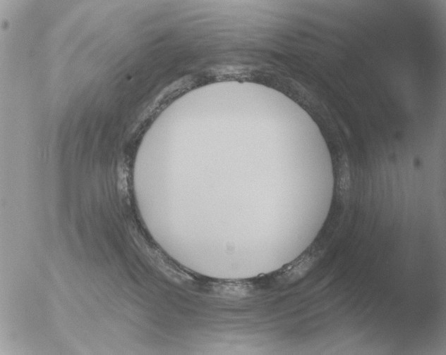 X0000051920282200507152105