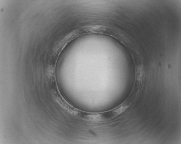 X0000051920284200507152105