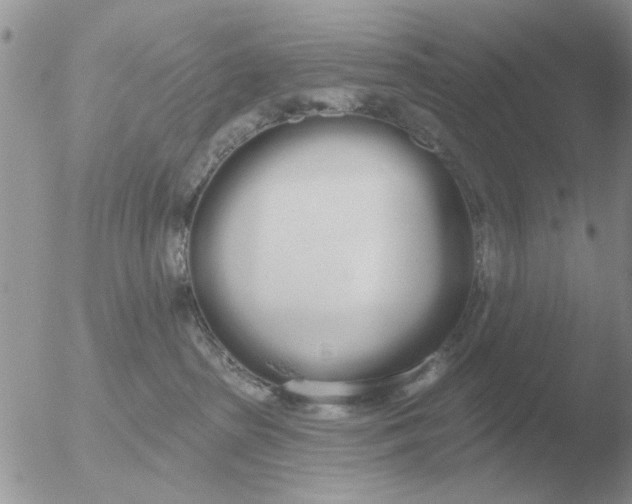 X0000051920285200507152105