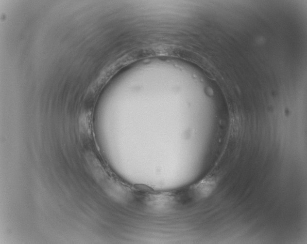 X0000051920286200507152105