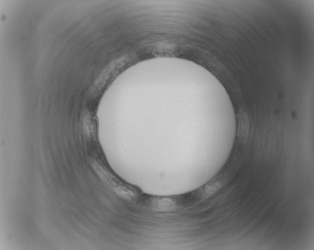 X0000051920287200507152105