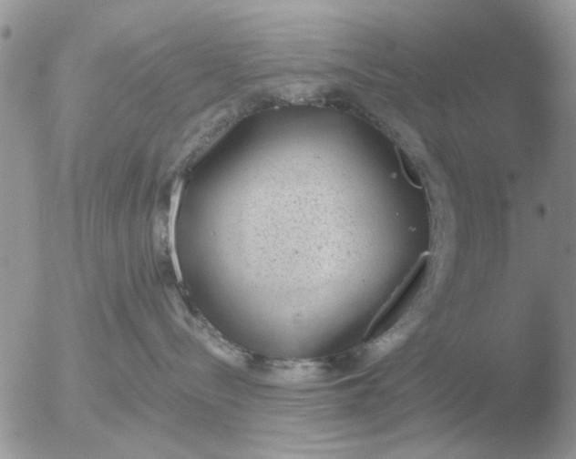 X0000051920288200507152105