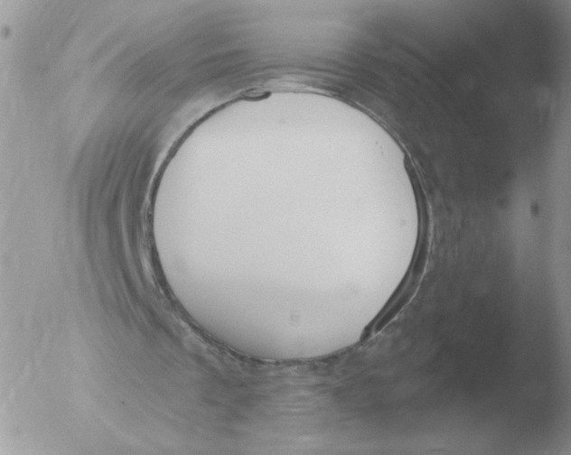 X0000051920289200507152104