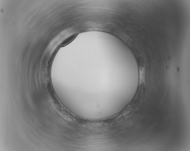 X0000051920291200507152104