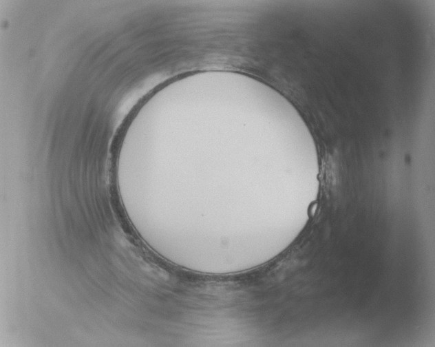 X0000051920292200507152104