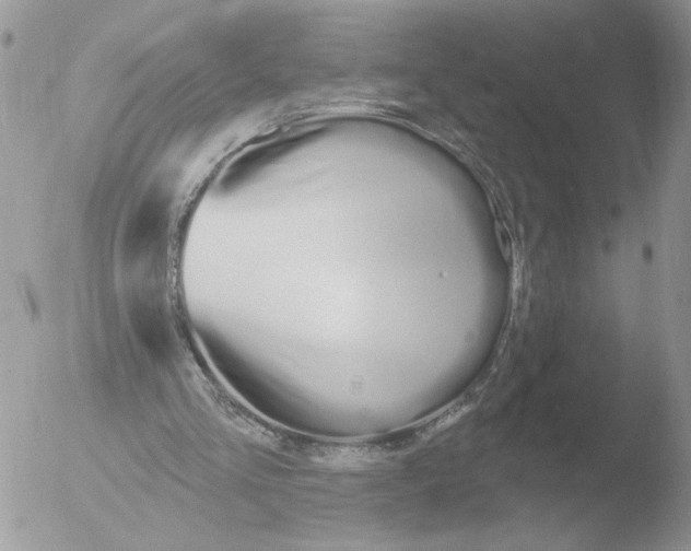 X0000051920293200507152104