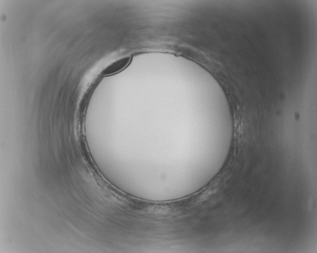 X0000051920294200507152104