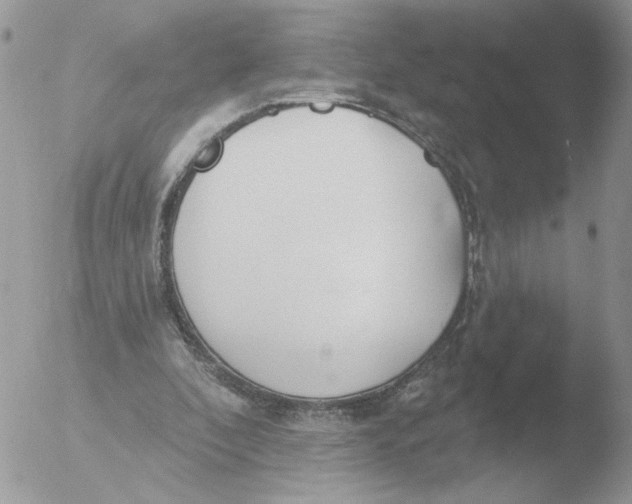 X0000051920296200507152104