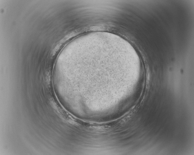 X0000051920297200507152104