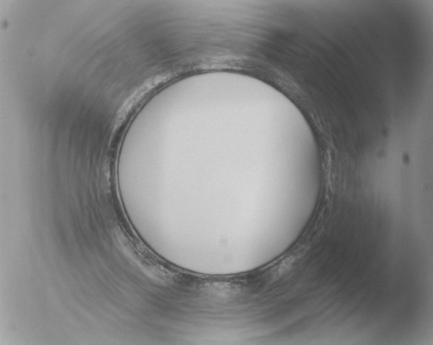 X0000051920298200507152104