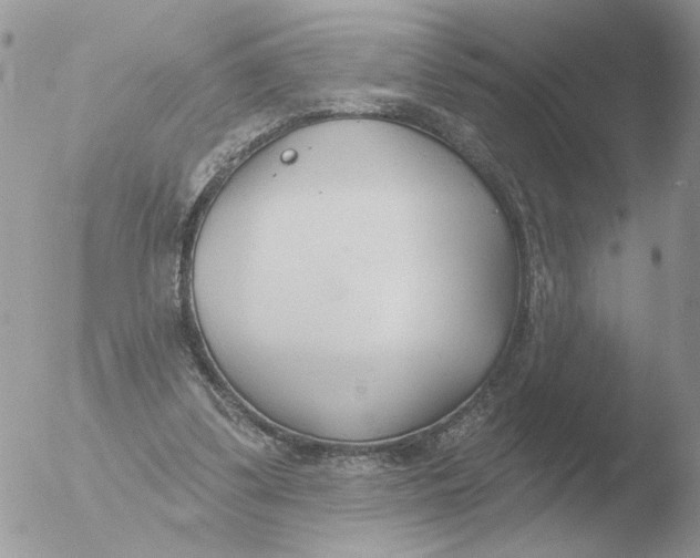 X0000051920299200507152104