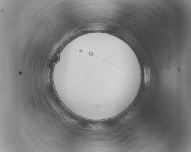 X0000051920300200507152104