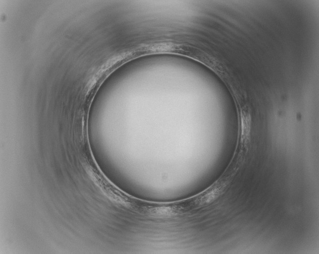 X0000051920301200507152104