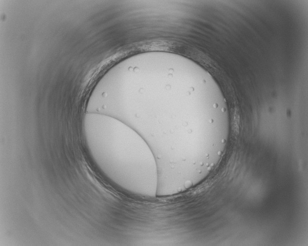 X0000051920302200507152104