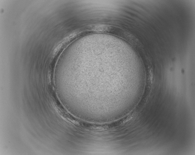 X0000051920303200507152104