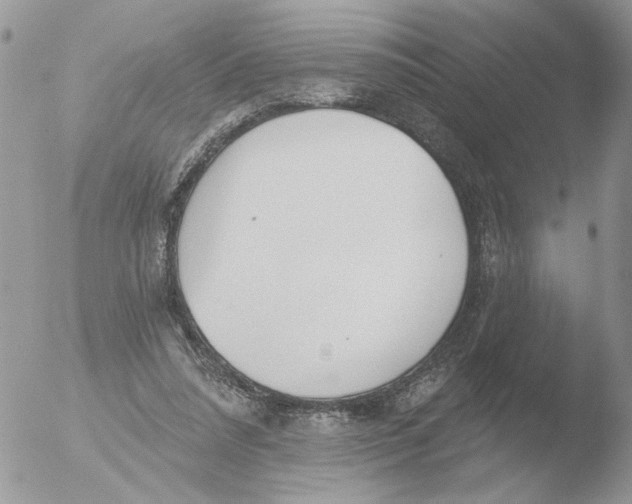 X0000051920304200507152104