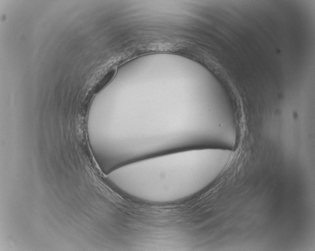 X0000051920305200507152104