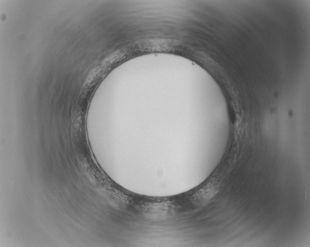 X0000051920306200507152104