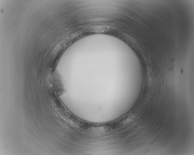 X0000051920307200507152104