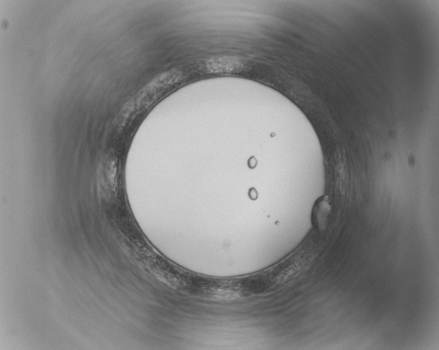 X0000051920308200507152104