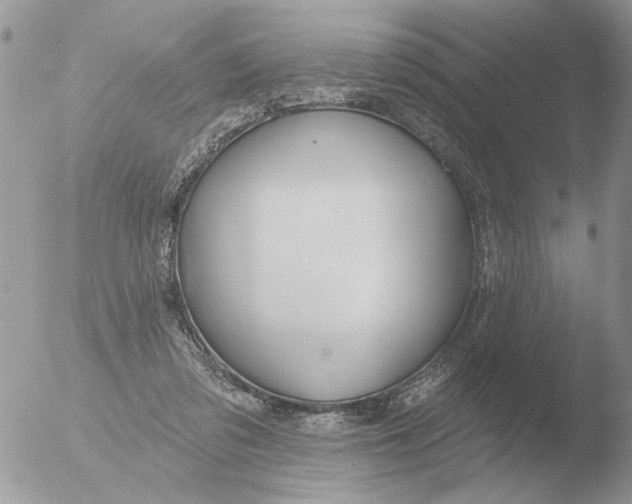 X0000051920309200507152104