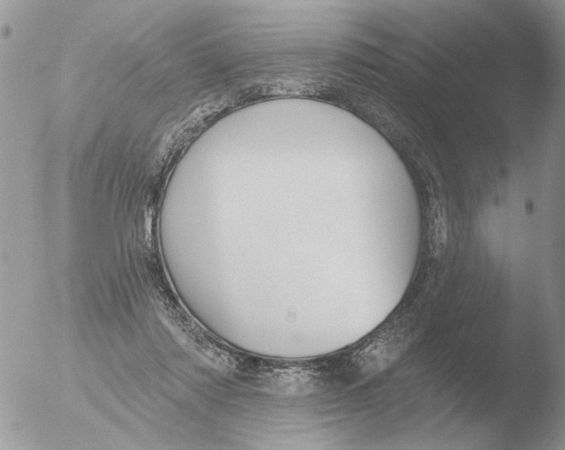 X0000051920310200507152104