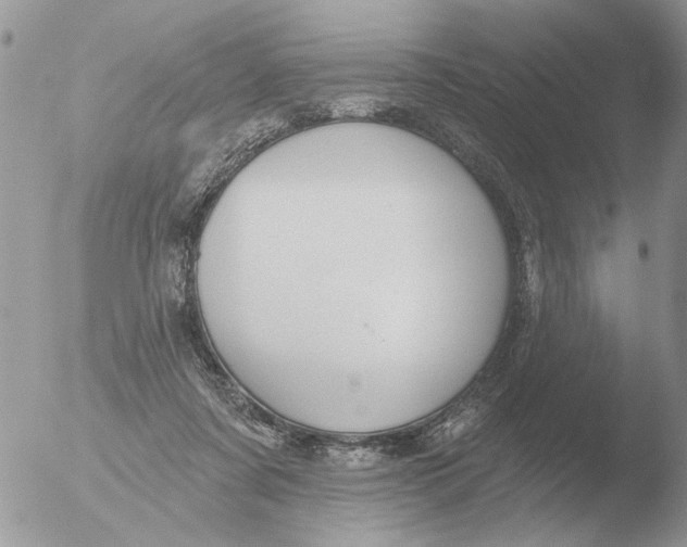 X0000051920311200507152104