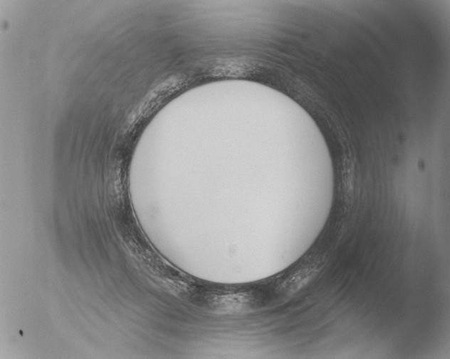 X0000051920312200507152104