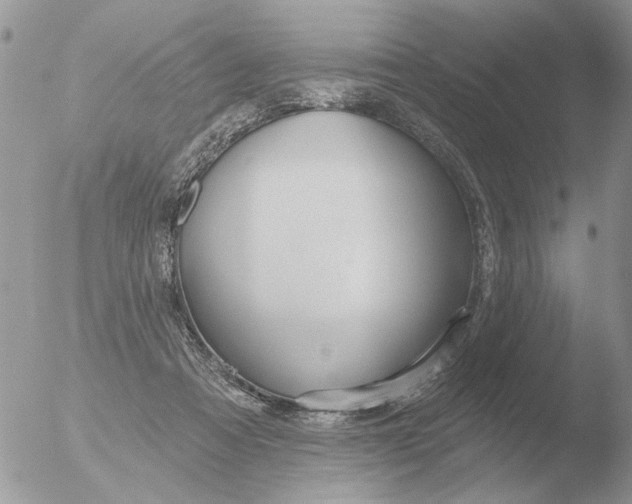 X0000051920313200507152104