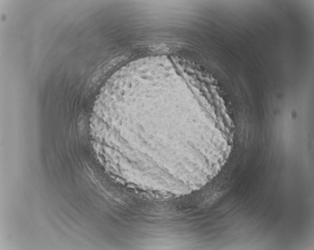 X0000051920314200507152103