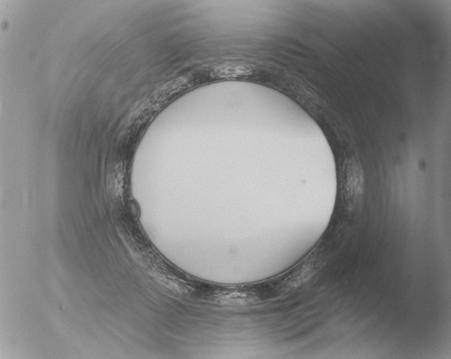 X0000051920315200507152103