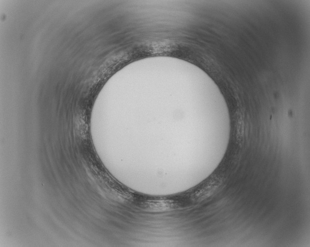 X0000051920316200507152103