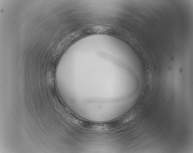 X0000051920317200507152103