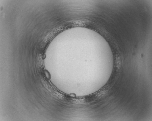 X0000051920318200507152103